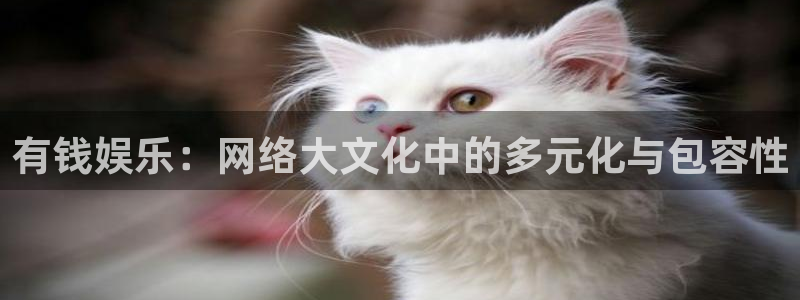 新航娱乐登录地址