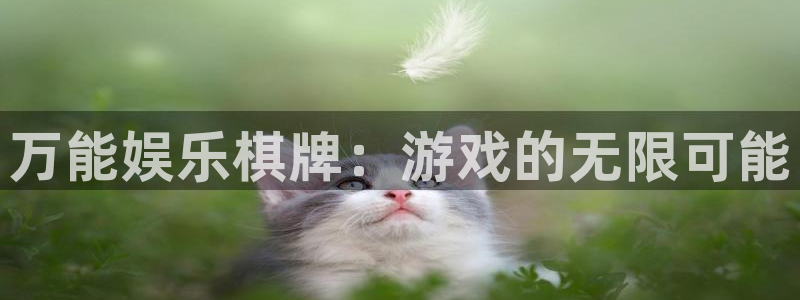 新航娱乐