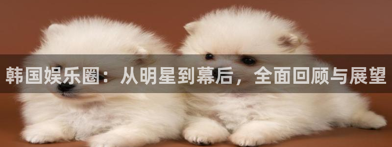 新航娱乐官网