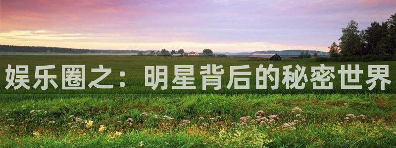 新航娱乐登录地址