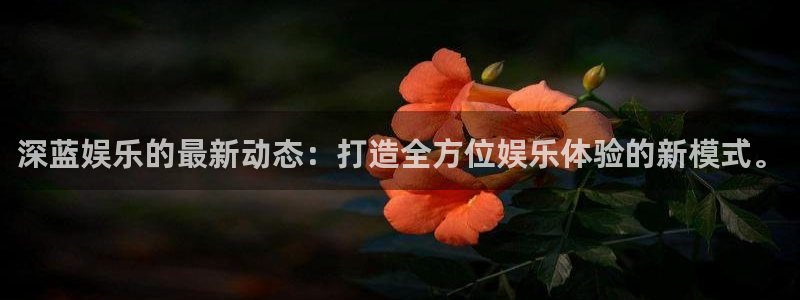 新航娱乐官网登录入口