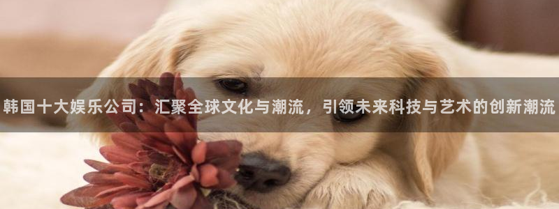 新航娱乐登录地址