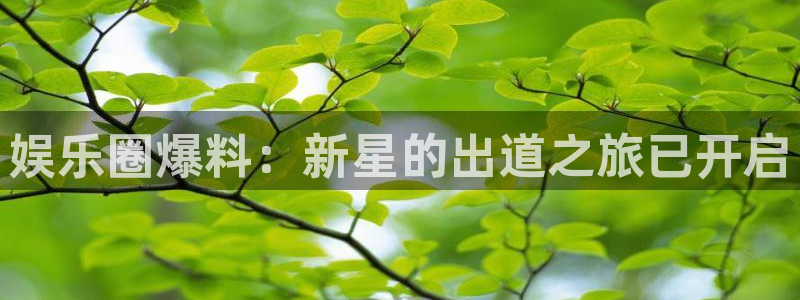 新航娱乐官网