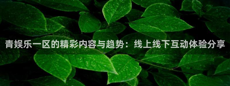新航娱乐注册