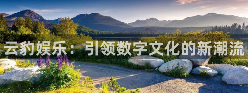 新航娱乐注册
