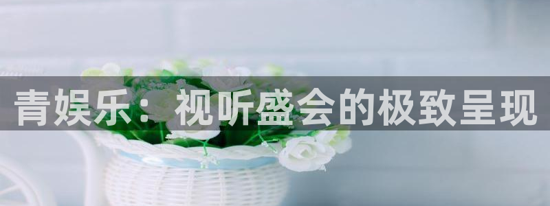 新航娱乐官网