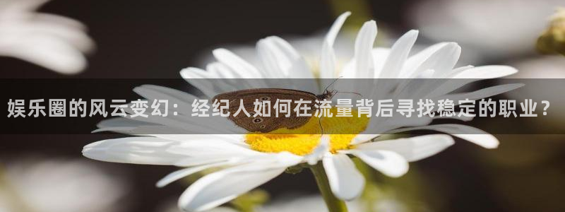 新航娱乐注册